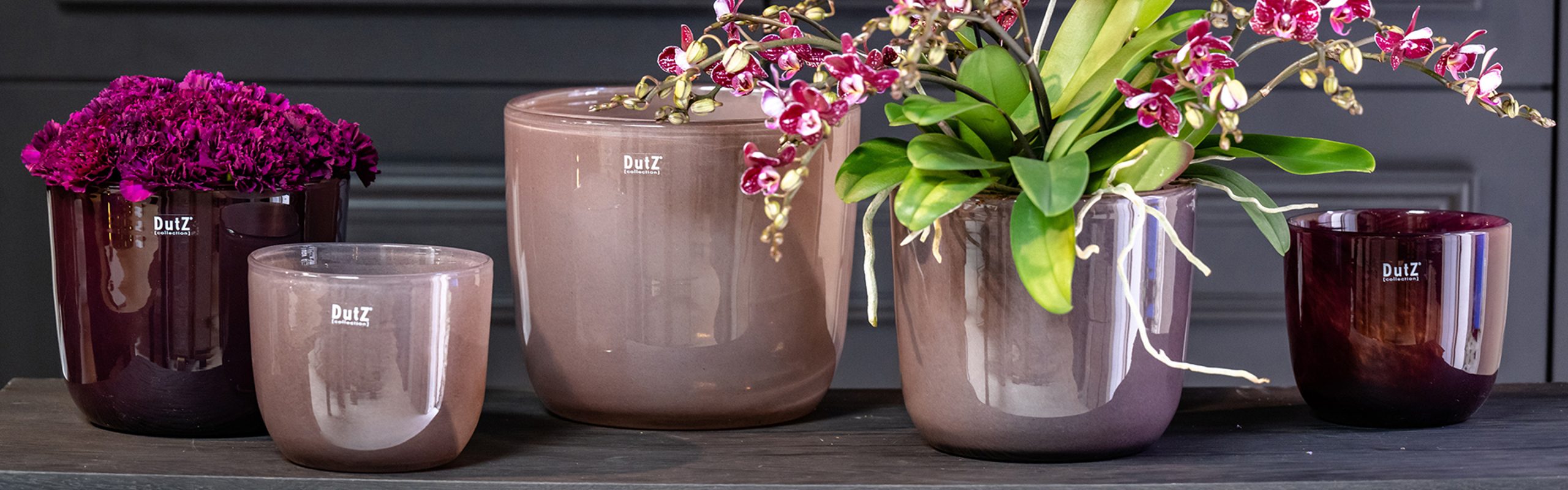 DutZ_pot_wide_total_25_2